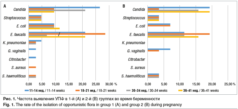 Рис. 1. Частота выявления УПФ в 1-й (A) и 2-й (B) группах во время беременности Fig. 1. The rate of the isolation of opportunistic flora in group 1 (A) and group 2 (B) during pregnancy