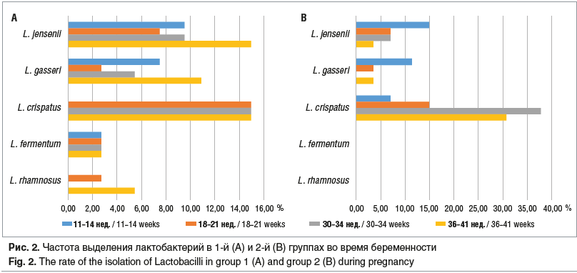 Рис. 2. Частота выделения лактобактерий в 1-й (A) и 2-й (B) группах во время беременности Fig. 2. The rate of the isolation of Lactobacilli in group 1 (A) and group 2 (B) during pregnancy